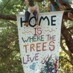 caltreegrove