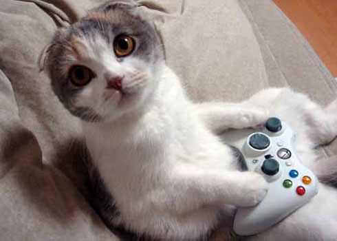 i playz xbox